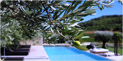 Holiday rentals